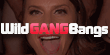 WildGangBangs