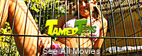 Visit Tamed Teens
